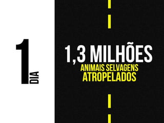 Projeto Malha - REB2014