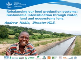 Rebalancing our food production systems:
Sustainable Intensification through water,
land and ecosystems lens.
Andrew Noble, Director WLE.
 