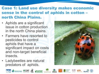 Rebalancing our food production systems: Sustainable Intensification through water, land and ecosystems lens