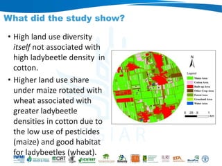 Rebalancing our food production systems: Sustainable Intensification through water, land and ecosystems lens