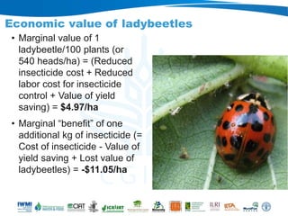 Rebalancing our food production systems: Sustainable Intensification through water, land and ecosystems lens