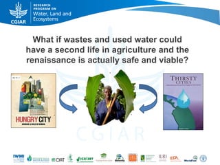 Rebalancing our food production systems: Sustainable Intensification through water, land and ecosystems lens