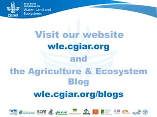 Rebalancing our food production systems: Sustainable Intensification through water, land and ecosystems lens