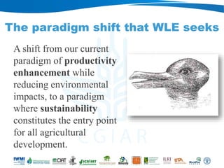 Rebalancing our food production systems: Sustainable Intensification through water, land and ecosystems lens