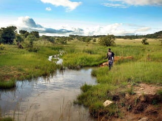 Rebalancing our food production systems: Sustainable Intensification through water, land and ecosystems lens