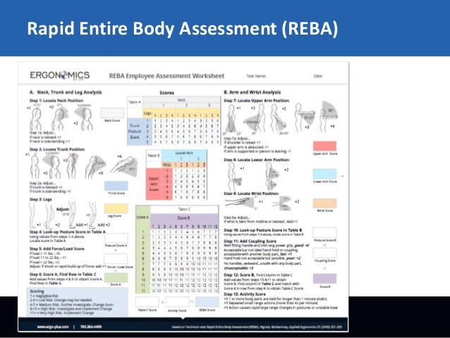 reba method Reba, univ of michigan, etc) departmentofmechanicalengineering • method does not separate left and right arms. reba method Reba, univ of michigan, etc) departmentofmechanicalengineering • method does not separate left and right arms.