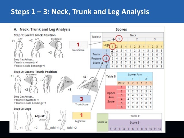 REBA - Rapid Entire Body Assessment