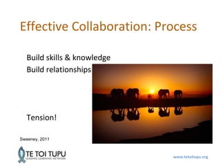 www.tetoitupu.org
Effective Collaboration: Process
Build skills & knowledge
Build relationships
Tension!
Sweeney, 2011
 