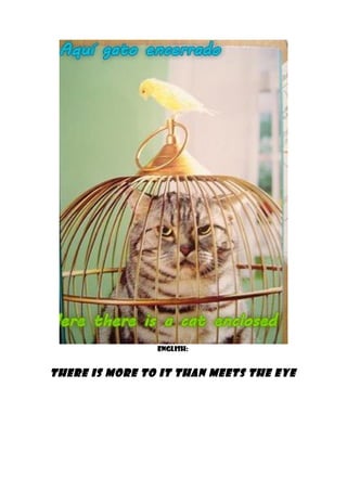 ENGLISH:


There is more to it than meets the eye
 