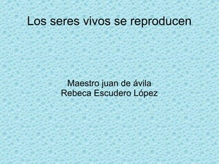 Los seres vivos se reproducen




      Maestro juan de ávila
     Rebeca Escudero López
 