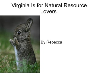 Virginia Is for Natural Resource
Lovers
By Rebecca
 