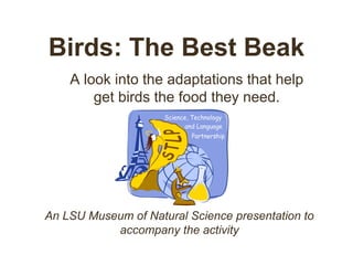 Birds: The Best Beak
A look into the adaptations that help
get birds the food they need.
An LSU Museum of Natural Science presentation to
accompany the activity
 