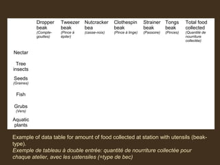 Dropper
beak
(Compte-
gouttes)
Tweezer
beak
(Pince à
épiler)
Nutcracker
bea
(casse-noix)
Clothespin
beak
(Pince à linge)
Strainer
beak
(Passoire)
Tongs
beak
(Pinces)
Total food
collected
(Quantité de
nourriture
collectée)
Nectar
Tree
insects
Seeds
(Graines)
Fish
Grubs
(Vers)
Aquatic
plants
Example of data table for amount of food collected at station with utensils (beak-
type).
Exemple de tableau à double entrée: quantité de nourriture collectée pour
chaque atelier, avec les ustensiles (=type de bec)
 