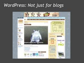 WordPress: Not just for blogs 