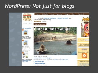 WordPress: Not just for blogs 