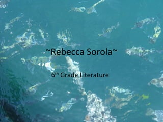 ~Rebecca Sorola~ 6 th  Grade Literature 