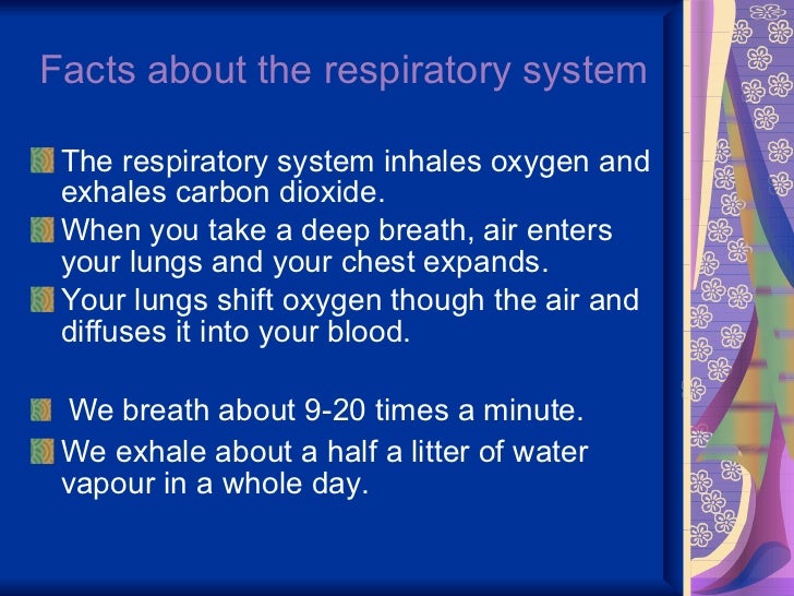 18 Questions With Answers In Health Information Systems
