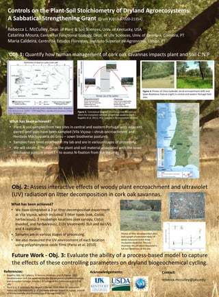 Controls on the Plant-Soil Stoichiometry of Dryland Agroecosystems:
A Sabbatical Strengthening Grant (Grant #2013-67020-21354)
Rebecca L. McCulley, Dept. of Plant & Soil Sciences, Univ. of Kentucky, USA
Catarina Moura, Centre for Functional Ecology, Dept. of Life Sciences, Univ. of Coimbra, Coimbra, PT
Maria Caldeira, Centro de Estudos Florestais, Instituto Superior de Agronomia, Lisbon, PT
Obj. 1: Quantify how human management of cork oak savannas impacts plant and soil C:N:P
Figure 2. Conceptual diagram illustrating how human use
alters the ecosystem services of cork oak savanna (from
Bugalho et al. 2011). PES – payment for ecosystem services.
References:
• Bugalho, MN, MC Caldeira, JS Pereira, J Aronson, and JG Pausas. 2011.
Meditteranean cork oak savannas require human use to sustain biodiversity
and ecosystem services. Frontiers in Ecology & the Environment 9(5):278-
286.
• Parisi A.V., P. Schouten, N.J. Downs, J. Turner. 2010. Solar UV exposures
measured simultaneously to all arbitrarily oriented leaves on a plant. Journal
of Photochemistry and Photobiology B: Biology 99:87-92.
Obj. 2: Assess interactive effects of woody plant encroachment and ultraviolet
(UV) radiation on litter decomposition in cork oak savannas.
Acknowledgements:
Future Work - Obj. 3: Evaluate the ability of a process-based model to capture
the effects of these controlling parameters on dryland biogeochemical cycling.
Figure 3. Photos of Cistus ladanifer shrub encroachment (left) and
Sown Biodiverse Pasture (right) in central and eastern Portugal field
sites.
What has been achieved?
• Plant & soil samples from two sites in central and eastern Portugal with adjacent,
paired land uses have been sampled (Vila Viçosa – shrub encroachment and
Herdade Machoqueria do Grou – sown biodiverse pasture).
• Samples have been received in my lab and are in various stages of processing.
• We will obtain δ15N data on the plant and soil material associated with the sown
biodiverse pasture project – to assess N-fixation from the legumes.
HMG
VV
Contact:
rebecca.mcculley@uky.edu
What has been achieved?
• We have completed a 2-yr litter decomposition experiment
at Vila Viçosa, which included: 3 litter types (oak, Cistus,
herbaceous); 3 incubation locations (oak canopy, Cistus
invaded, and herbaceous); 2 UV treatments (full and no UV);
and 4 replicates.
• Samples are in various stages of processing.
• We also measured the UV environment of each location
using polyphenylene oxide films (Parisi et al. 2010).
Photos of litter decomposition plots,
and a graph of estimated daily UV
doses measured in the three
incubation locations. The sun
illustrates the UV dose measured in
full sun conditions at the site.
 