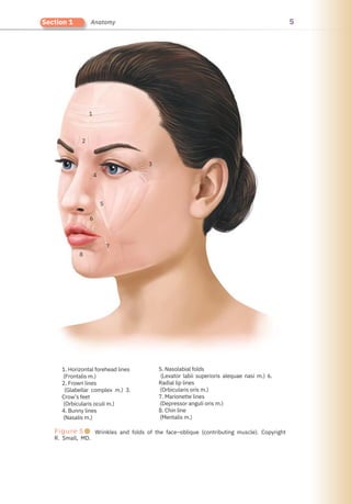 5
Section 1 Anatomy
8
2
1
6
4
5
7
1. Horizontal forehead lines
(Frontalis m.)
2. Frown lines
(Glabellar complex m.) 3.
Crow’s feet
(Orbicularis oculi m.)
4. Bunny lines
(Nasalis m.)
3
5. Nasolabial folds
(Levator labii superioris alequae nasi m.) 6.
Radial lip lines
(Orbicularis oris m.)
7. Marionette lines
(Depressor anguli oris m.)
8. Chin line
(Mentalis m.)
Figure 5●
R. Small, MD.
Wrinkles and folds of the face–oblique (contributing muscle). Copyright
 