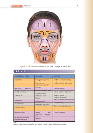 7
Section 1 Anatomy
Figure 7 ● Functional anatomy of the face. Copyright R. Small, MD.
Nasolabial folds
Bunny lines
Radial lip lines
Marionette lines
EXPRESSION LINES
Frown lines
Horizontal forehead
lines Crow’s feet
Eyebrow lift
Levator labii
superioris alaeque
nasi
Mentalis
MUSCLES
Corrugator supercilii
Procerus and
depressor supercilii
Frontalis
Lateral orbicularis oculi
Superior lateral
orbicularis oculi
Nasalis
Orbicularis oris
Depressor anguli oris
Central lip levator
ACTIONS
Eyebrows drawn medially
Medial eyebrow depressors
Chin lineChin puckering
and lower lip levator
Key:
Orange—depressor muscles Purple—levator muscles Gray—sphincteric muscles
Eyebrow levator
Lateral eyebrow depressor
Superior lateral
eyebrow depressor
Nasal sidewalls drawn medially
Lip puckering
Corner of mouth depressor
t A B l e 1
 