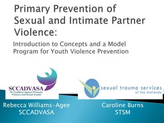 Introduction to Concepts and a Model
Program for Youth Violence Prevention
Rebecca Williams-Agee
SCCADVASA
Caroline Burns
STSM
 