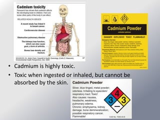 • Cadmium is highly toxic.
• Toxic when ingested or inhaled, but cannot be
  absorbed by the skin.
 