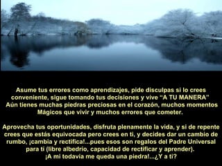 Asume tus errores como aprendizajes, pide disculpas si lo crees conveniente, sigue tomando tus decisiones y vive “A TU MANERA”  Aún tienes muchas piedras preciosas en el corazón, muchos momentos Mágicos que vivir y muchos errores que cometer.  Aprovecha tus oportunidades, disfruta plenamente la vida, y si de repente crees que estás equivocada pero crees en ti, y decides dar un cambio de rumbo, ¡cambia y rectifica!...pues esos son regalos del Padre Universal para tí (libre albedrío, capacidad de rectificar y aprender).  ¡A mi todavía me queda una piedra!...¿Y a ti? 