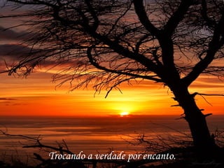 Trocando a verdade por encanto. 