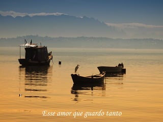 Esse amor que guardo tanto 