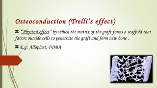 Osteoconduction (Trelli’s effect)
“Physical effect” by which the matrix of the graft forms a scaffold that
favors outside cells to penetrate the graft and form new bone .
E.g: Alloplast, FDBA
 