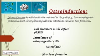 Osteoinduction:
Cell mediators at the defect
(BMP)
Stimulation of
osteoprogenitor cells
Osteoblasts
New bone formation
Chemical process by which molecules contained in the graft (e.g., bone morphogenetic
proteins) convert the neighbouring cells into osteoblasts, which in turn form bone.
E.g: DFDBA
 