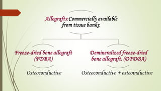 Osteoconductive Osteoconductive + osteoinductive
 
