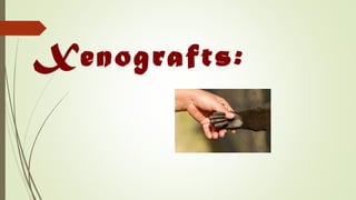 Xenografts:
 