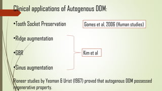 Clinical applications of Autogenous DDM:
•Tooth Socket Preservation
•Ridge augmentation
•GBR
•Sinus augmentation
Pioneer studies by Yeoman & Urist (1967) proved that autogenous DDM possessed
regenerative property.
Gomes et al, 2006 (Human studies)
Kim et al
 