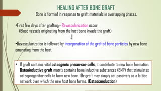 HEALING AFTER BONE GRAFT
Bone is formed in response to graft materials in overlapping phases.
•First few days after grafting:- Revascularization occur
(Blood vessels originating from the host bone invade the graft)
•Revascularization is followed by incorporation of the grafted bone particles by new bone
emanating from the host.
• If graft contains vital osteogenic precursor cells, it contribute to new bone formation.
Osteoinductive graft matrix contains bone inductive substances (BMP) that stimulates
osteoprogenitor cells to form new bone. Or graft may simply act passively as a lattice
network over which the new host bone forms. (Osteoconduction)
 
