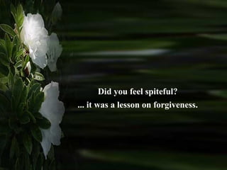 Did you feel spiteful? ... it was a lesson on forgiveness.  