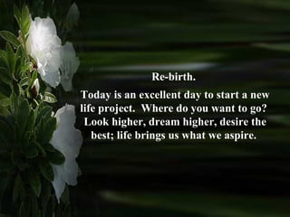 Re-birth.  Today is an excellent day to start a new life project.  Where do you want to go?  Look higher, dream higher, desire the best; life brings us what we aspire.  