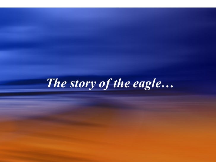 rebirth of the eagle story of eagle photo presentation