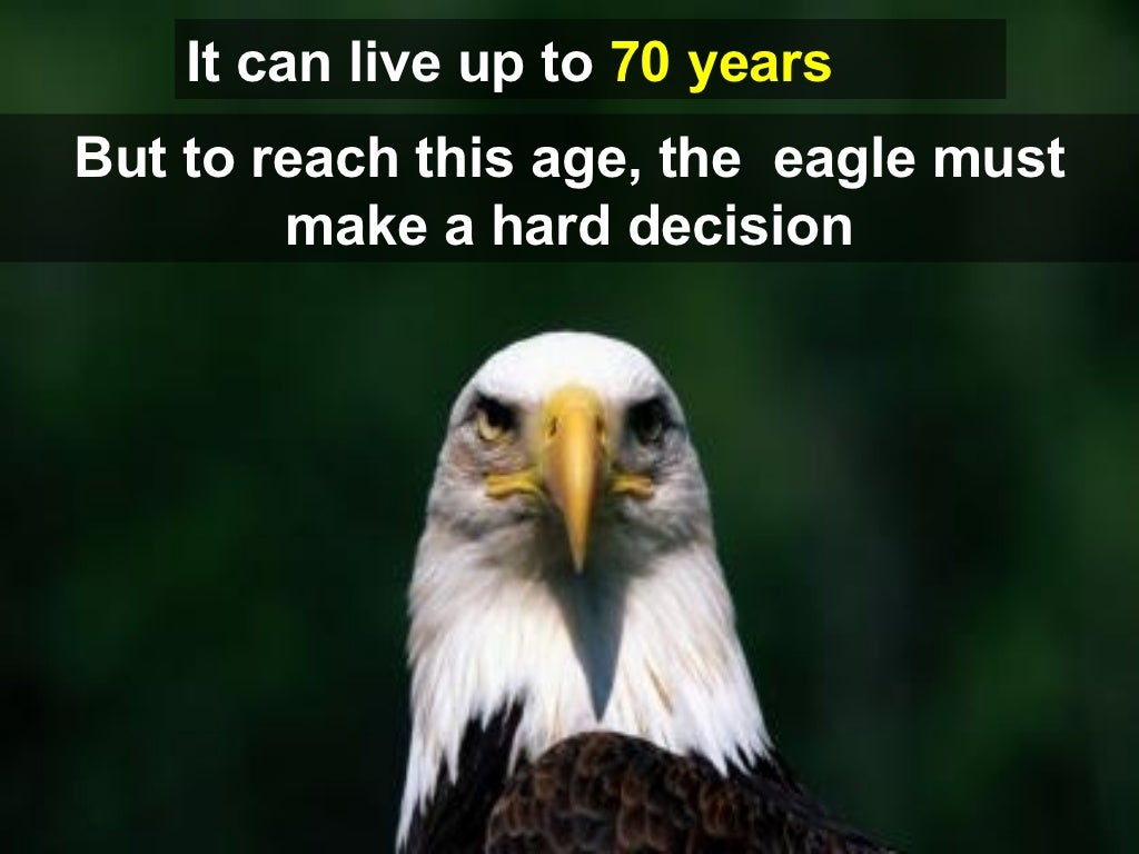 But to reach this age,