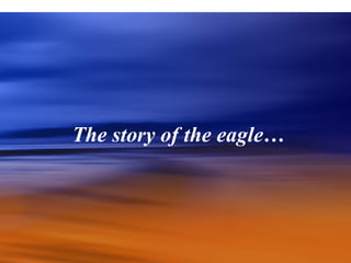 The story of the eagle… 
