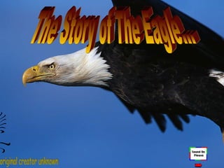 The Story of The Eagle… original creator unknown 