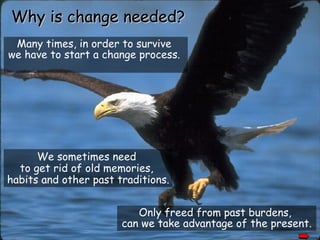 Why is change needed?
 Many times, in order to survive
we have to start a change process.




      We sometimes need
  to get rid of old memories,
habits and other past traditions.


                          Only freed from past burdens,
                       can we take advantage of the present.
 
