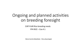 Ongoing and planned activities
on breeding foresight
CIAT-FLAR Rice breeding needs
FP4 RICE – Coa 4.1
Maria Camila Rebolledo – Rice physiologist
 