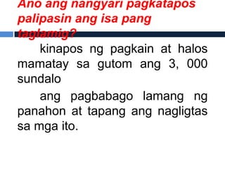 Ano ang nangyari pagkatapos
palipasin ang isa pang
taglamig?
    kinapos ng pagkain at halos
mamatay sa gutom ang 3, 000
sundalo
    ang pagbabago lamang ng
panahon at tapang ang nagligtas
sa mga ito.
 