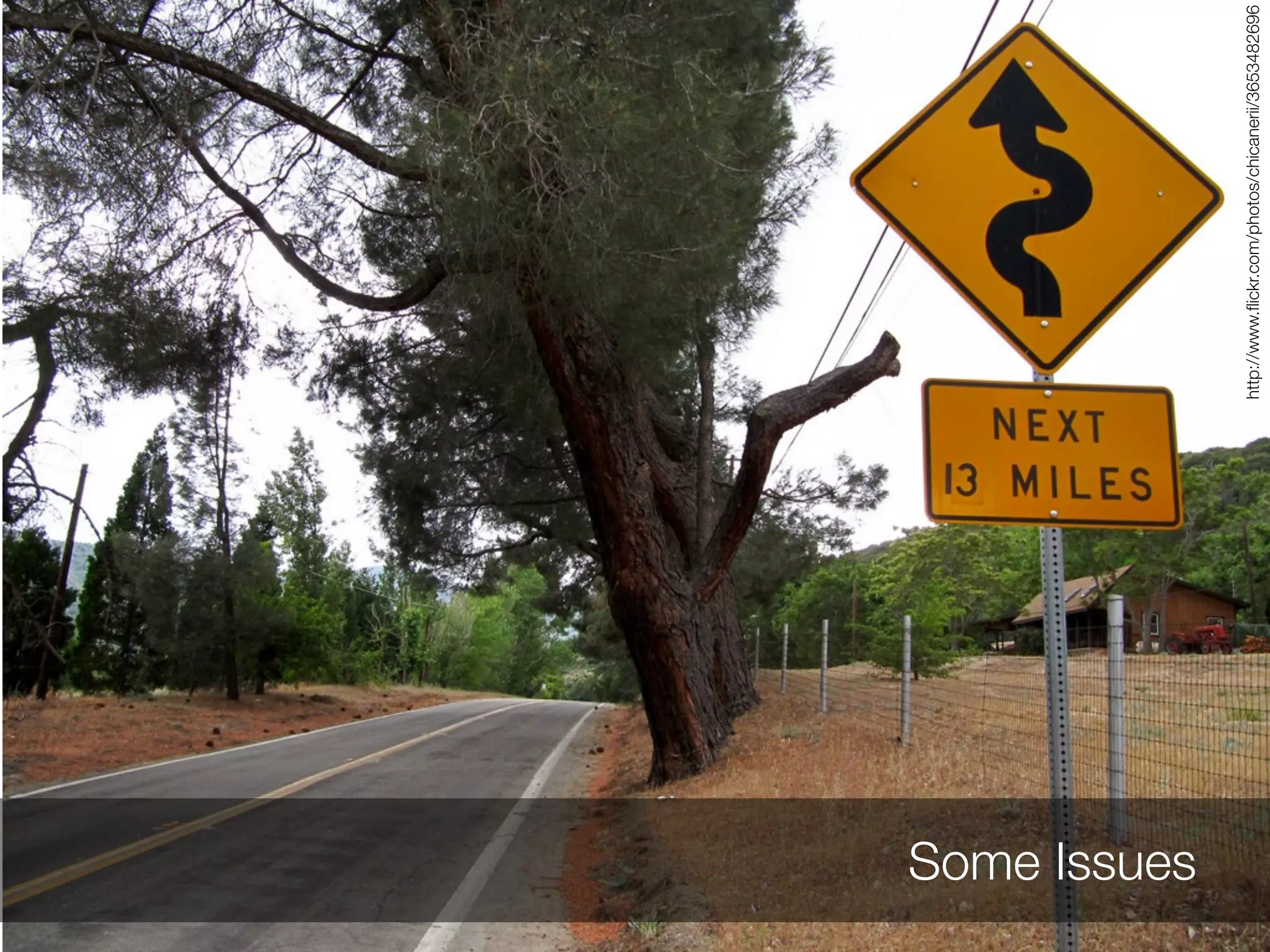 Some Issues




              http://www.ﬂickr.com/photos/chicanerii/3653482696
 