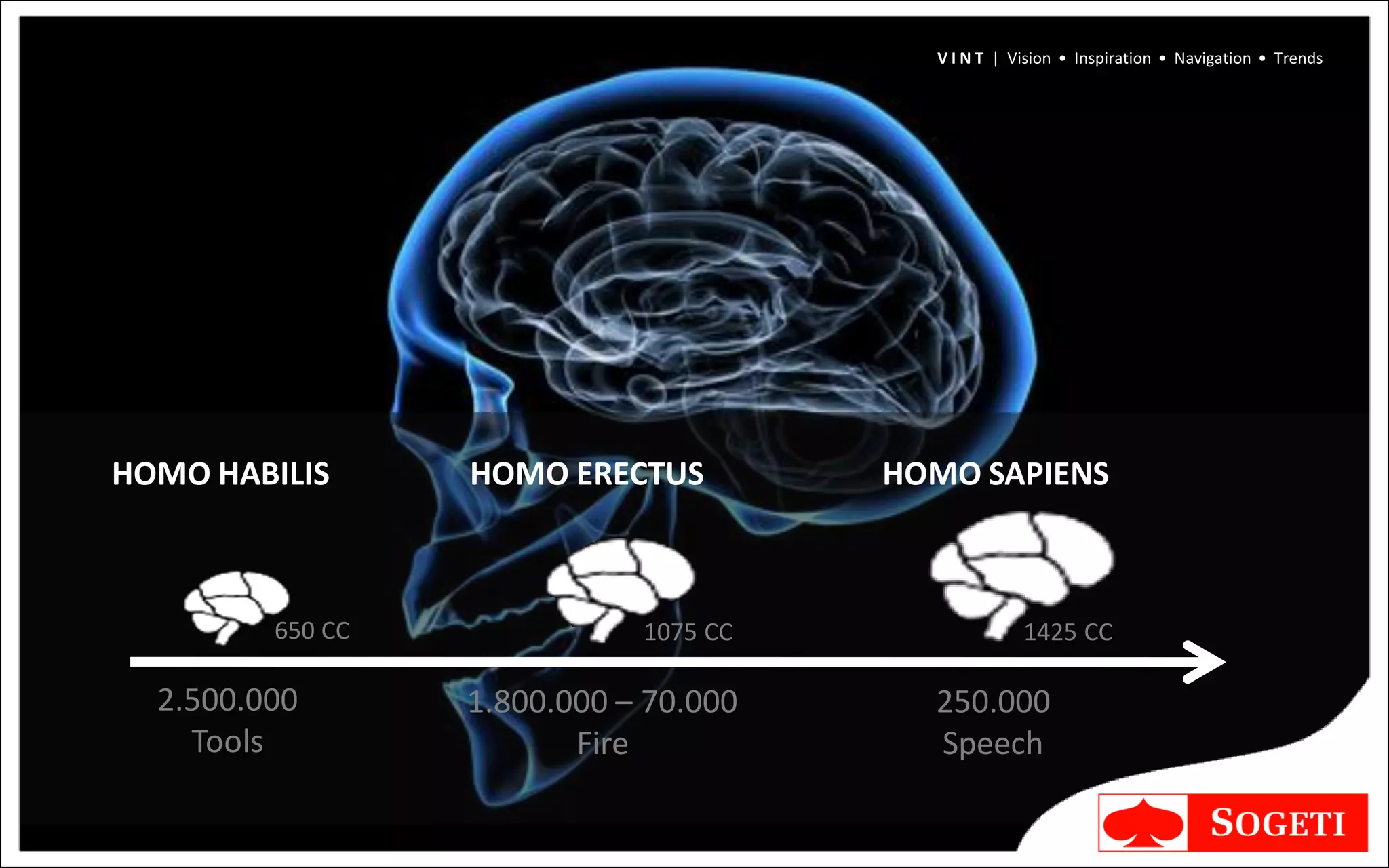 V I N T | Vision • Inspiration • Navigation • Trends




HOMO HABILIS      HOMO ERECTUS         HOMO SAPIENS



         650 CC              1075 CC                1425 CC

  2.500.000       1.800.000 – 70.000     250.000
    Tools                Fire            Speech
 