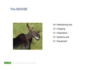 The MOOSE




                                                               M = Maintaining and
                                                               O = Ongoing
                                                               O = Operations
                                                               S = Systems and
                                                               E = Equipment




15   © 2010 Forrester Research, Inc. Reproduction Prohibited
 
