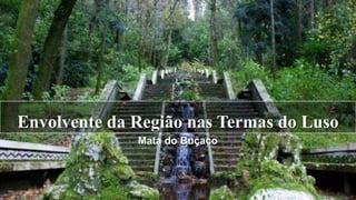 Envolvente da Região nas Termas do Luso
Mata do Buçaco
 