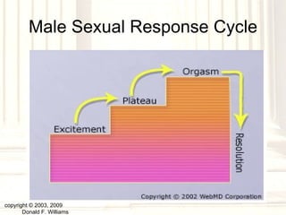 Male Sexual Response Cycle copyright © 2003, 2009  Donald F. Williams 