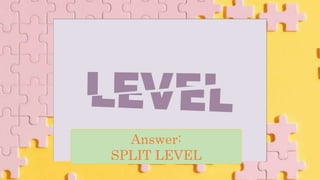 Answer:
SPLIT LEVEL
 